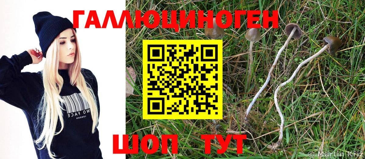 Галлюциногенные грибы MAGIC MUSHROOMS Благовещенск