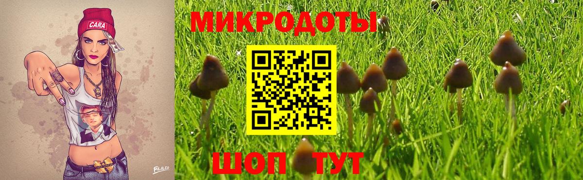 Благовещенск  наркошоп  Вход с VPN  Псилоцибиновые грибы прущие грибы 